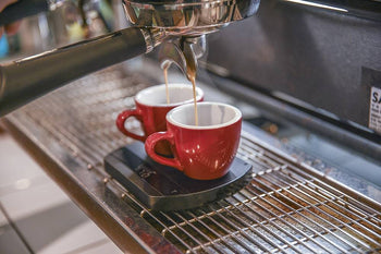 Felicita Arc Waterproof Coffee Scale- Black
