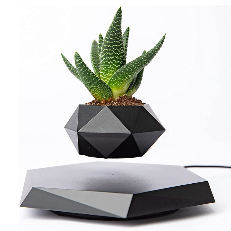 Magnetic Floating Bonsai/Plant Pot - Choice of colours