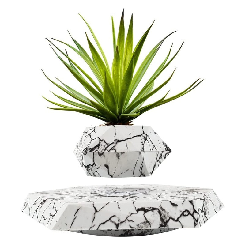 Magnetic Floating Bonsai/Plant Pot - Choice of colours