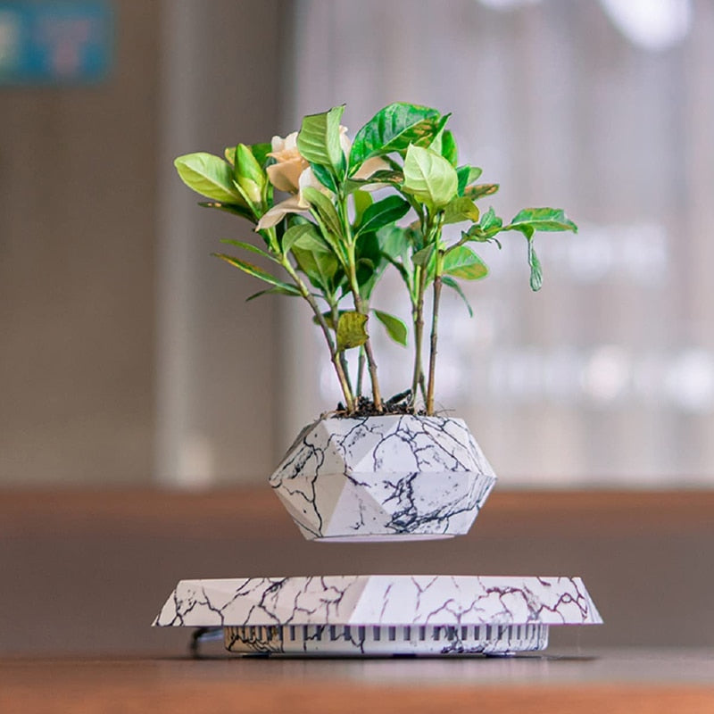 Magnetic Floating Bonsai/Plant Pot - Choice of colours