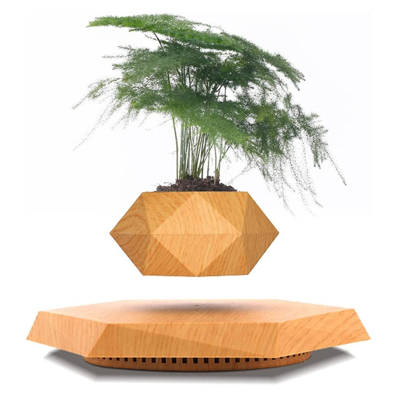 Magnetic Floating Bonsai/Plant Pot - Choice of colours