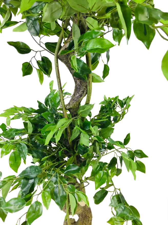 Artificial Ficus Tree With Twisted Trunk - mancavesuperstore